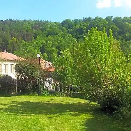 Zielone Wzgorze ホステル